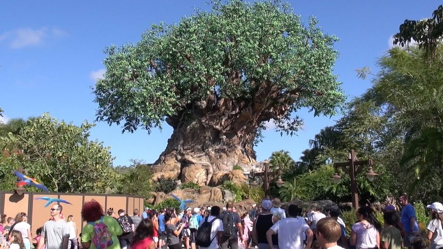 Place Animal Kingdom