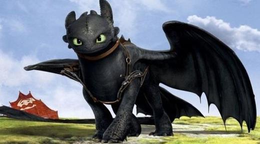 How to Train Your Dragon