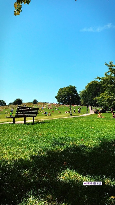 Place Primrose Hill