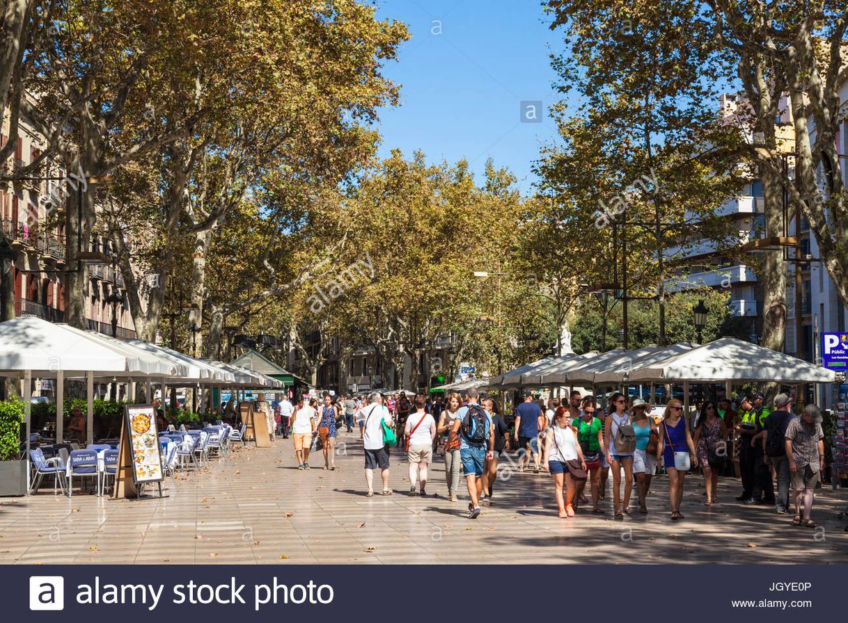 Lugar Rambla de Catalunya