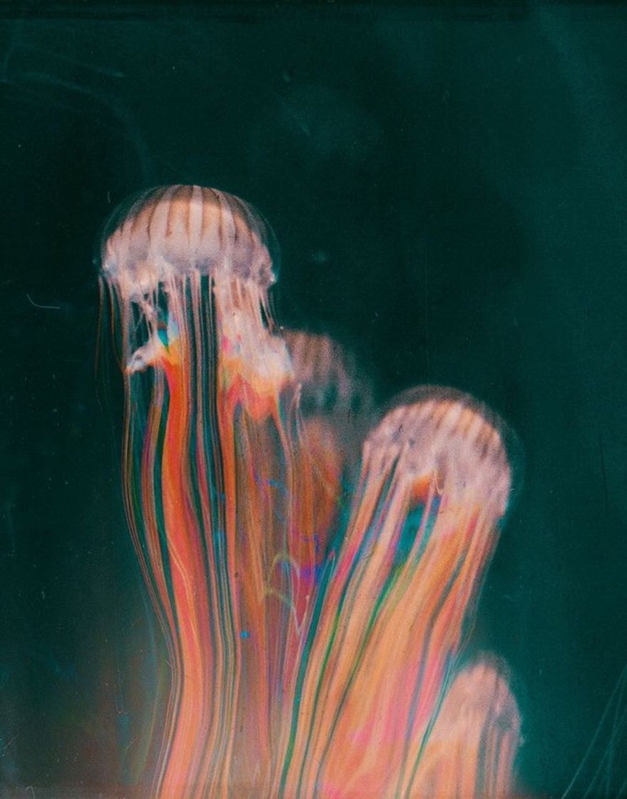 Social wallpaper 