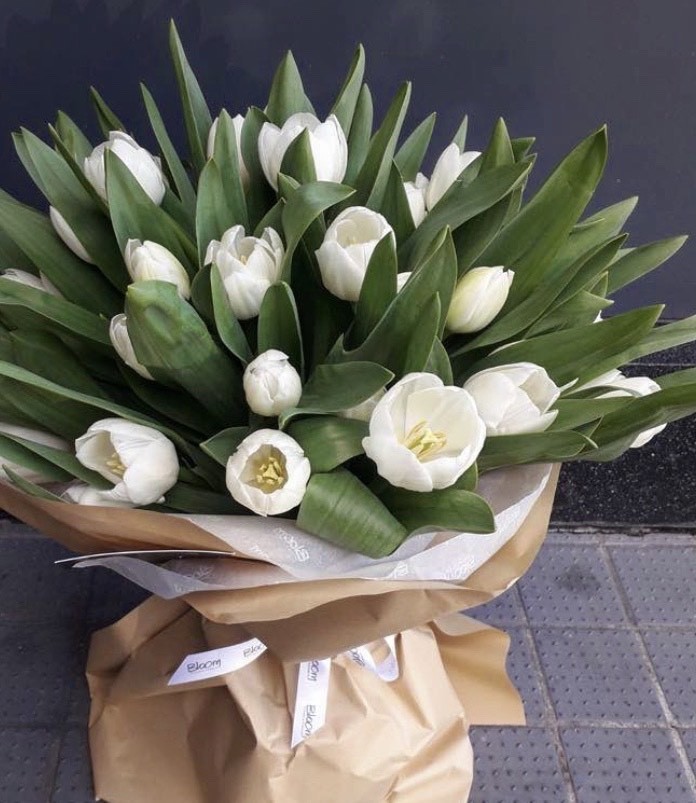 Products Tulips 