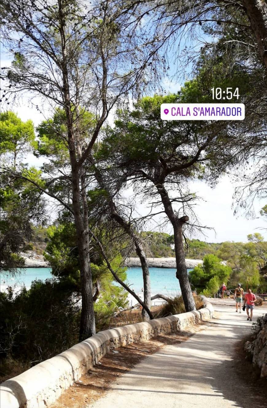 Lugar Cala S'Amarador