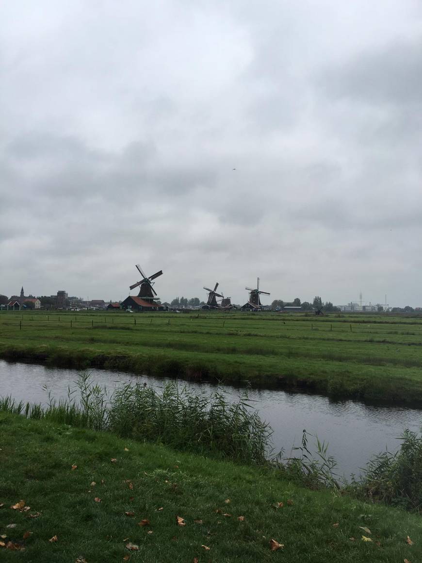 Lugar Zaanse Schans