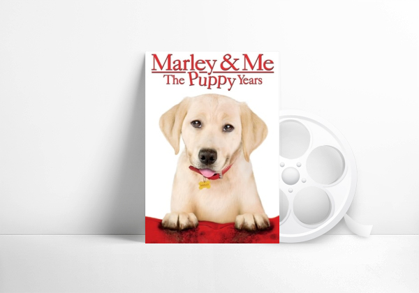 Movie Una pareja de tres: Los años cachorros