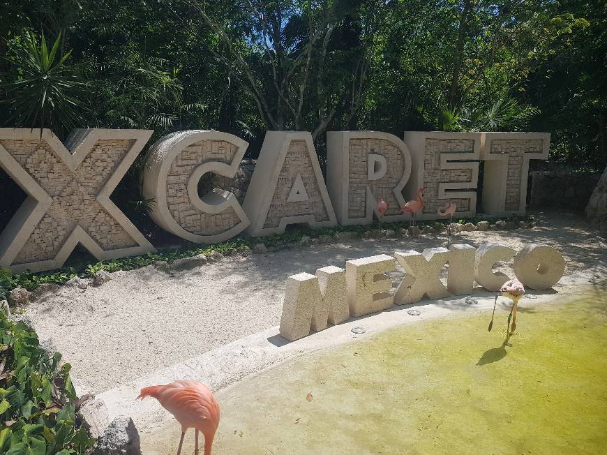 Place XCARET