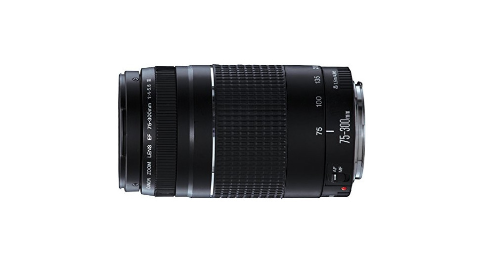 Electronic Canon EF 75-300mm/1:4,0-5,6 III - Objetivo para Canon