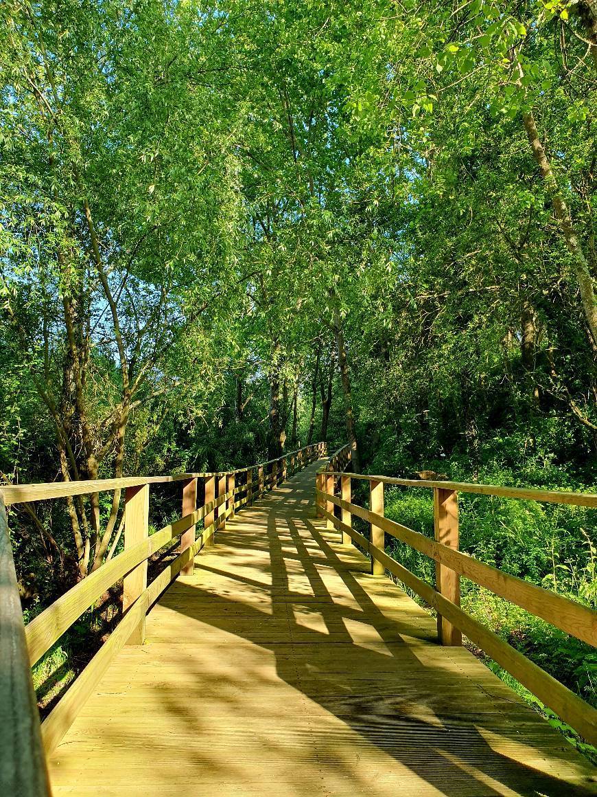 Lugares Passadiços da Ribeira do Espírito Santo