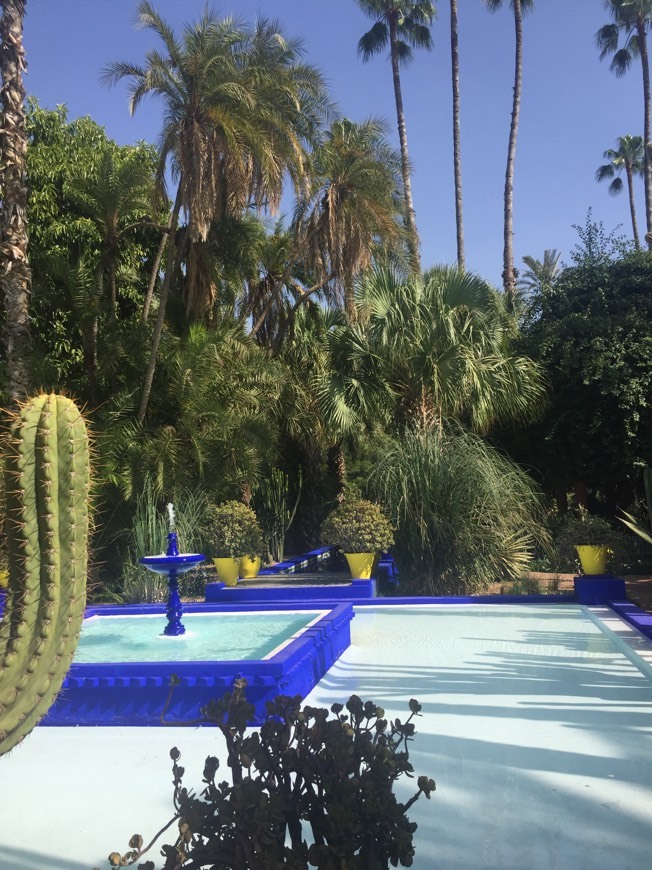 Lugar Jardín Majorelle