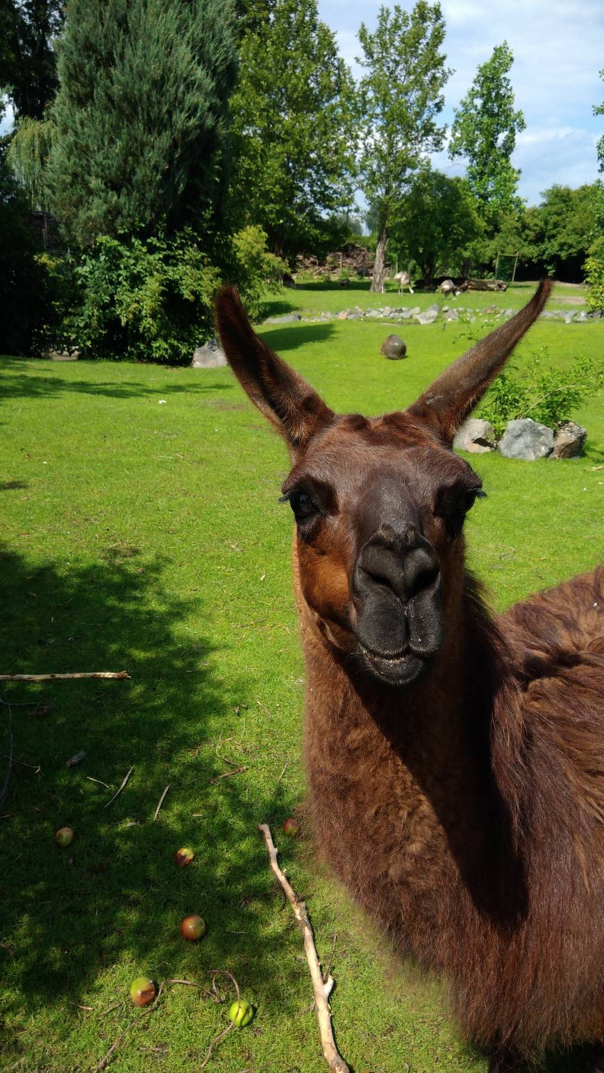Zoo Opole