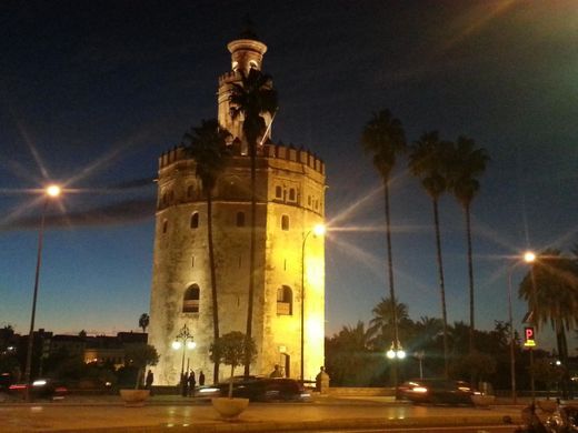 Torre del Oro en Sevilla: 164 opiniones y 363 fotos