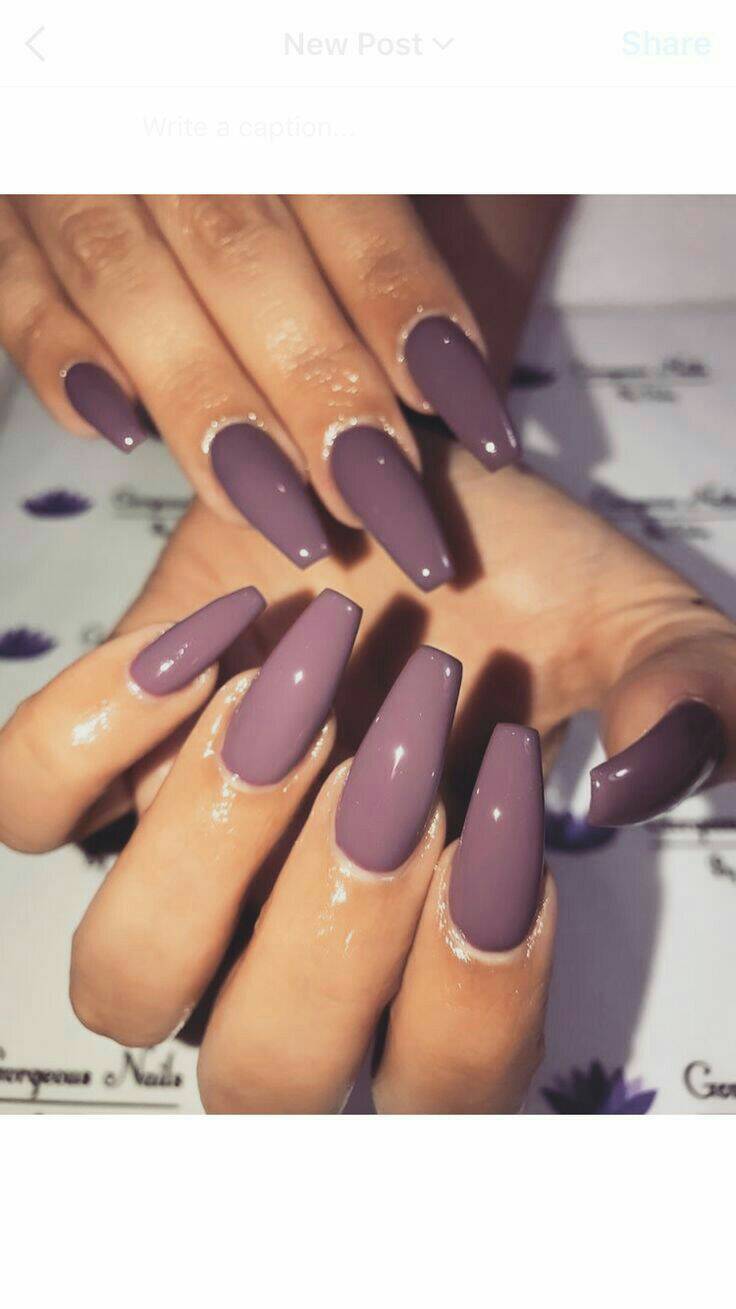 Social Dark purple