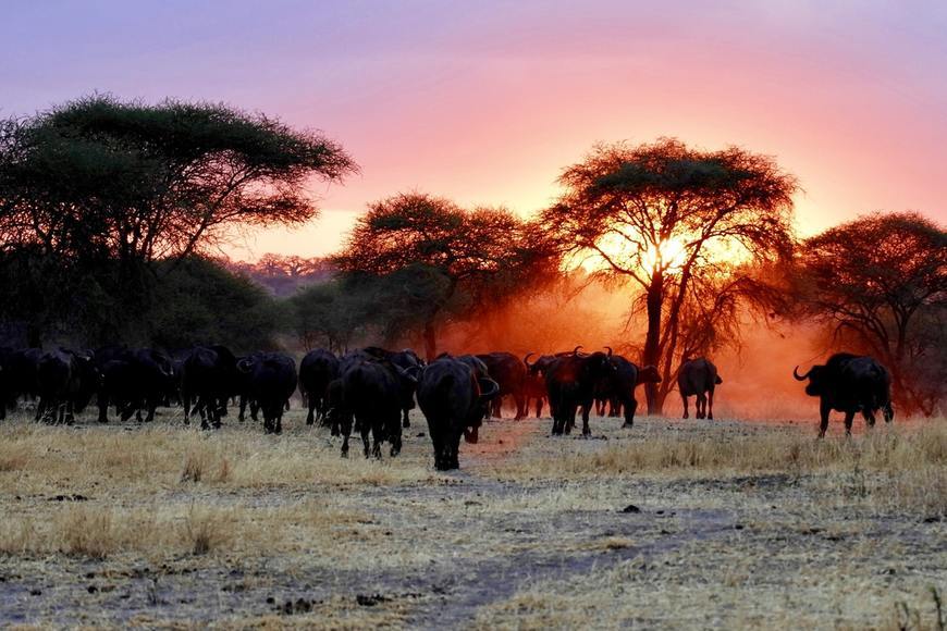 Lugar África