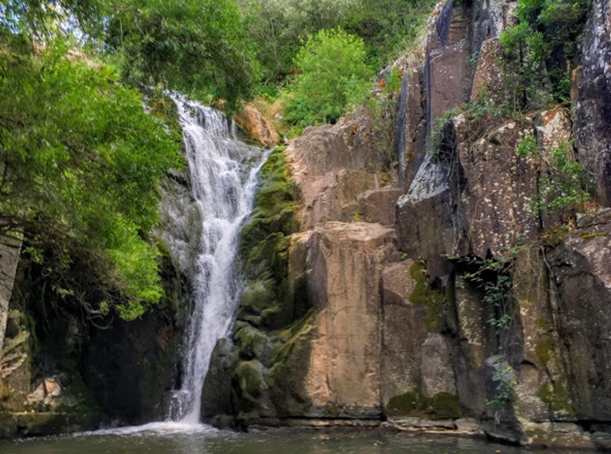 Fashion Cascata de Anços