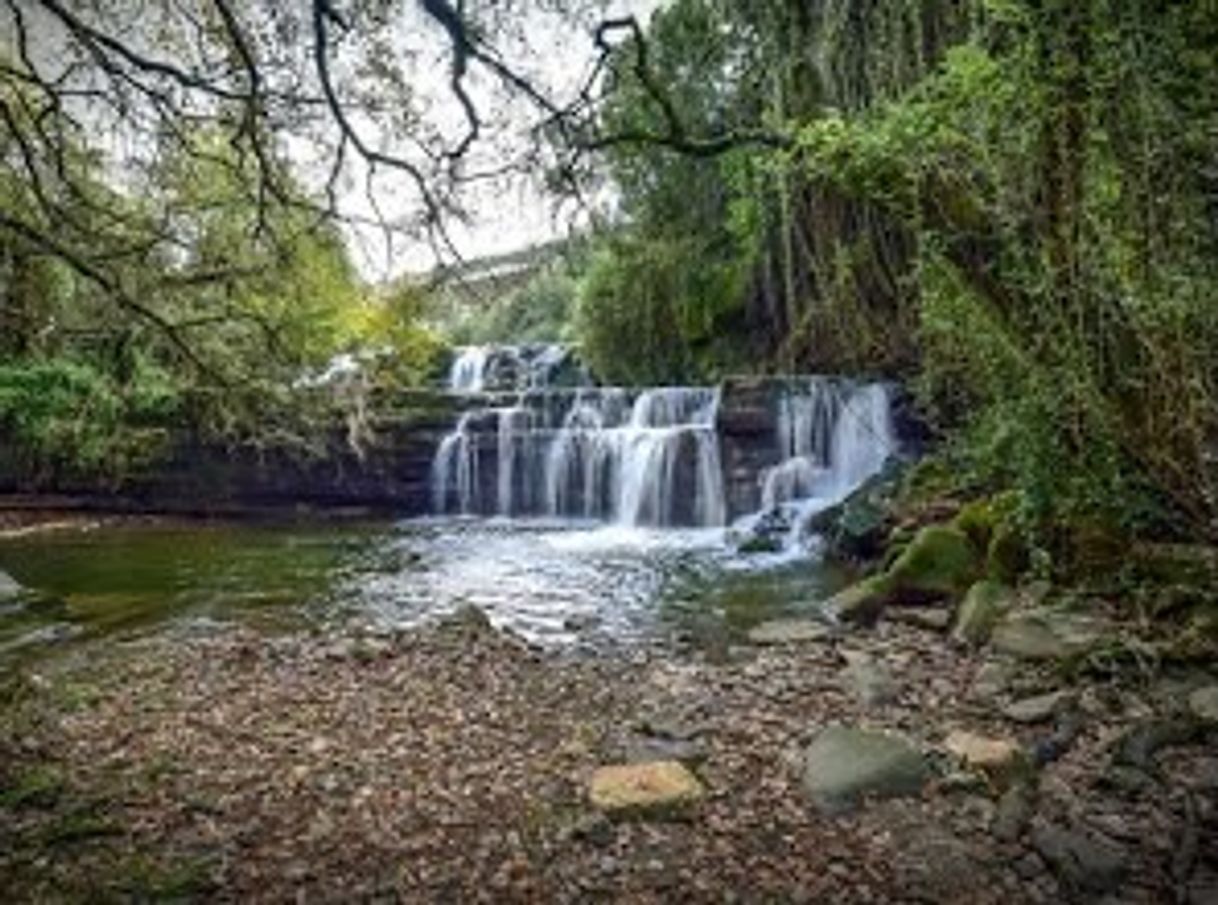 Fashion Cascata de Armés