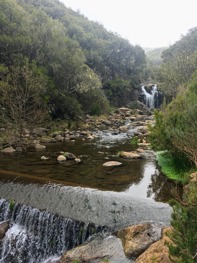 Place Levada do Alecrim