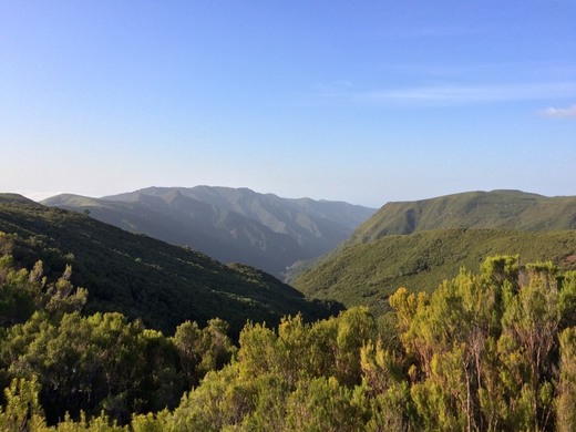 Levada do Alecrim