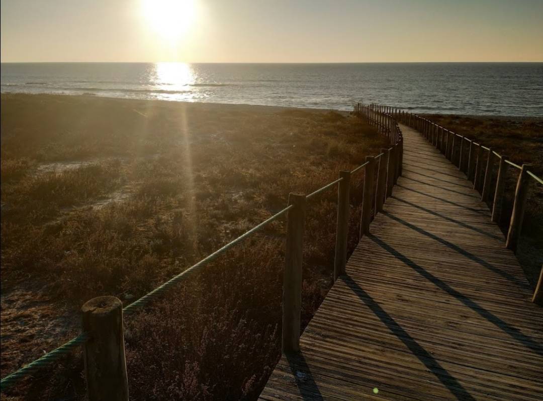 Social Praia de belinho 