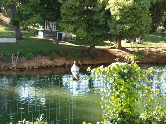 Place Jardim da Quinta da Alagoa