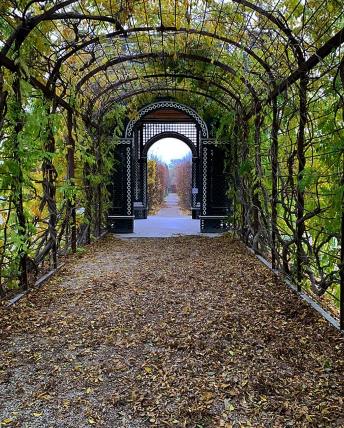 Place Schönbrunn Palace