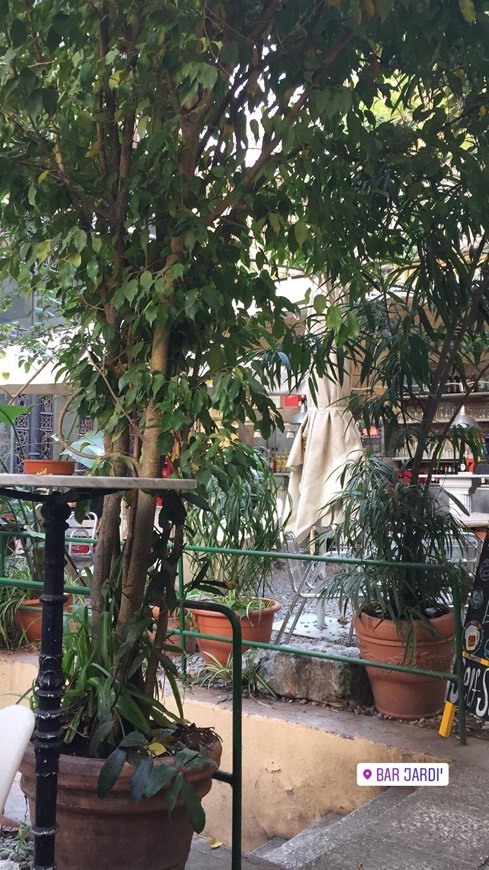 Restaurants Bar Jardín