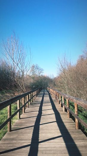 Passadiços de Fiães (Parque das Ribeiras)