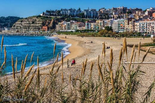 Arenys de Mar