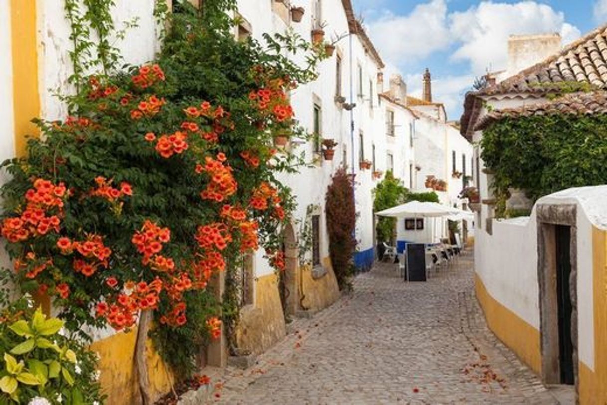 Place Óbidos