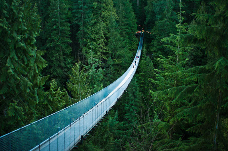 Place Capilano Suspension Bridge