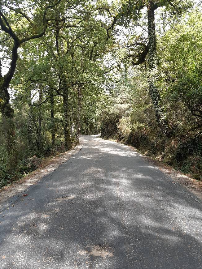 Place Portela do Homem