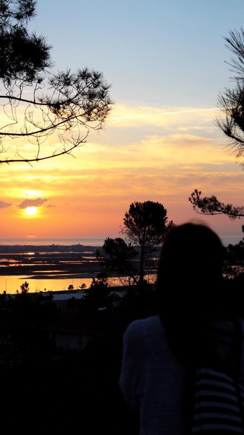 Lugar Vila Verde, Figueira da Foz