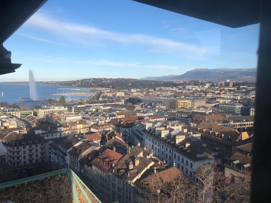 Place Catedral de San Pedro de Ginebra