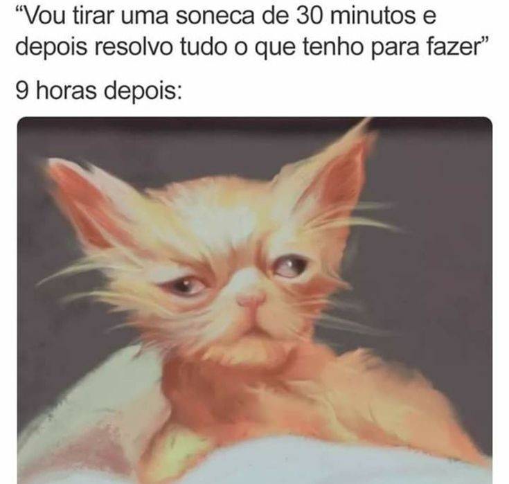 Social Meia hora