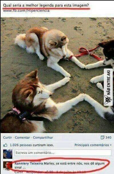 Social Marley..