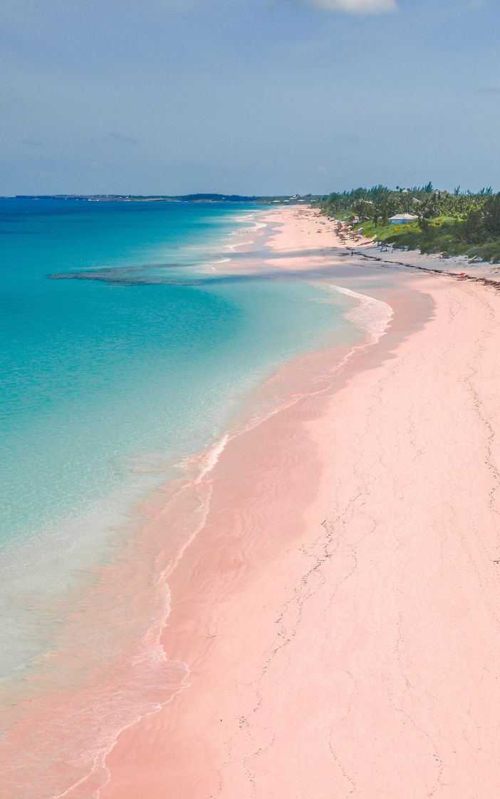 Lugar Pink Sands Beach