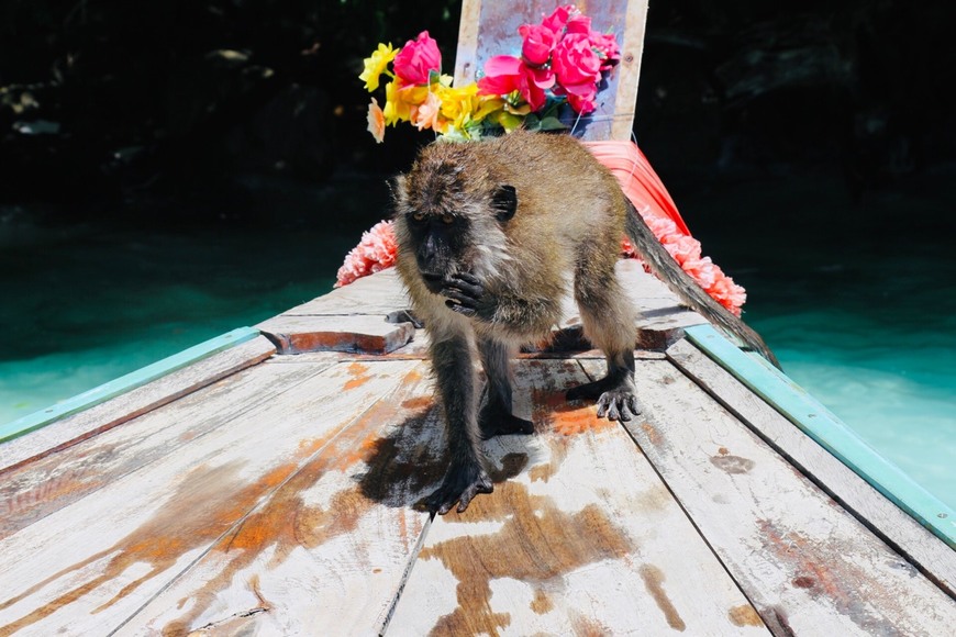 Lugar Monkey Beach