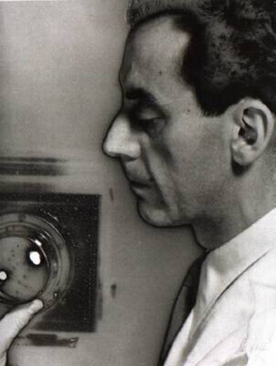 Man Ray - photography, paintings, biography of Man Ray