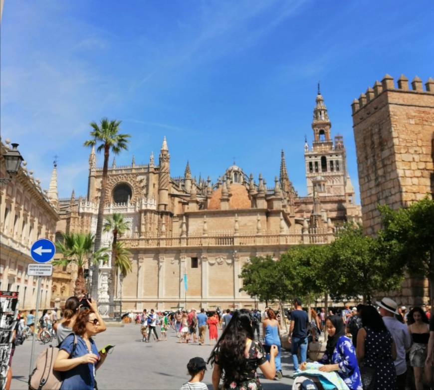 Place Catedral de Sevilla