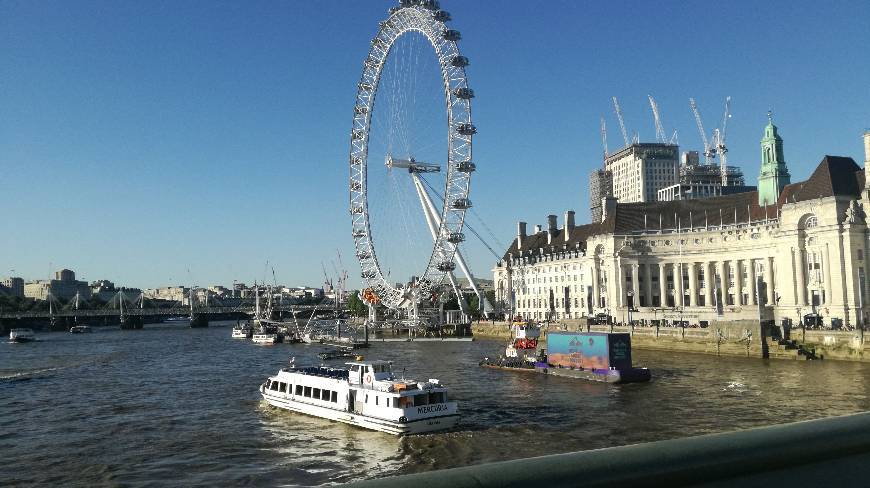 Place London Eye