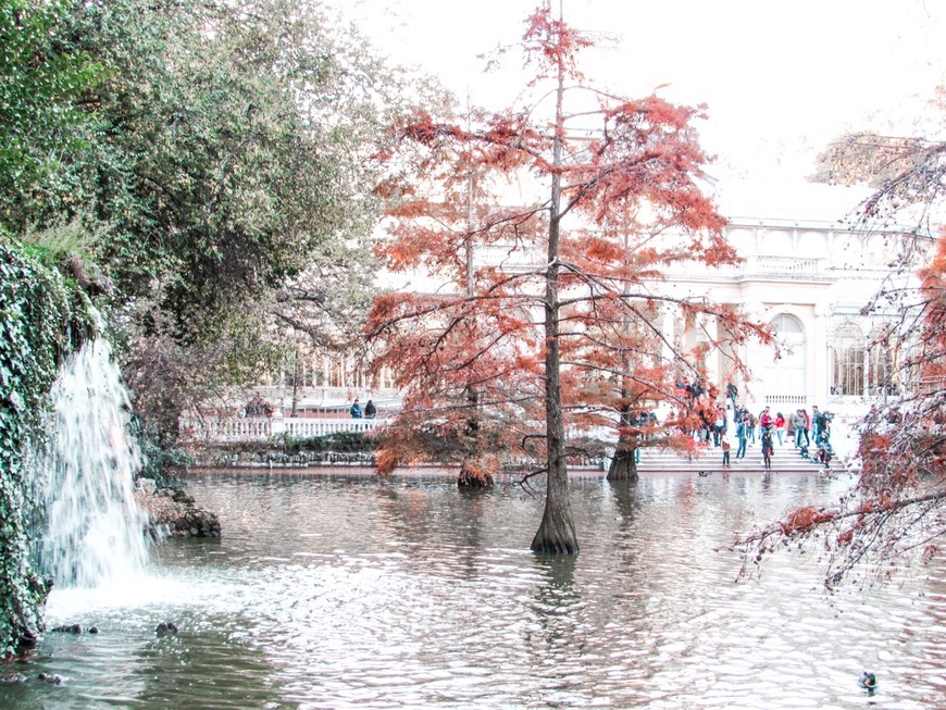 Lugar Parque de El Retiro