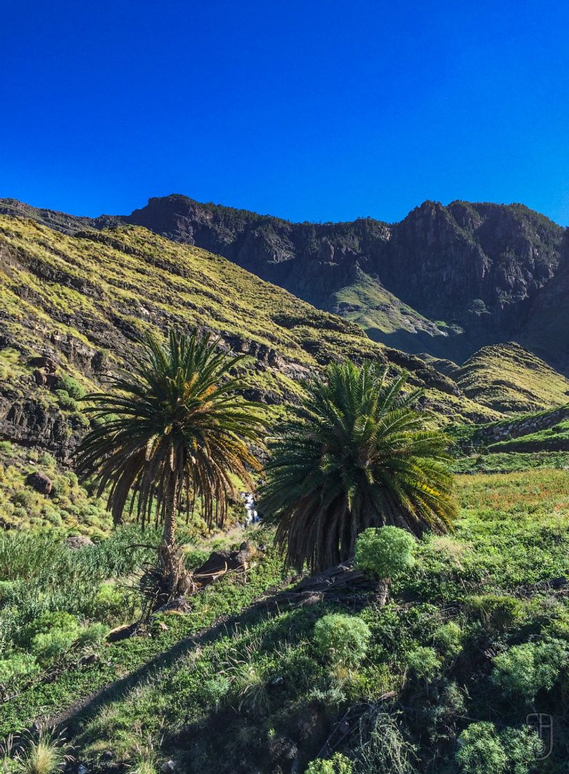 Places Barranco De Guayedra