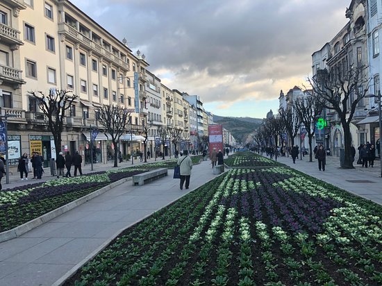 Lugar Avenida da Liberdade