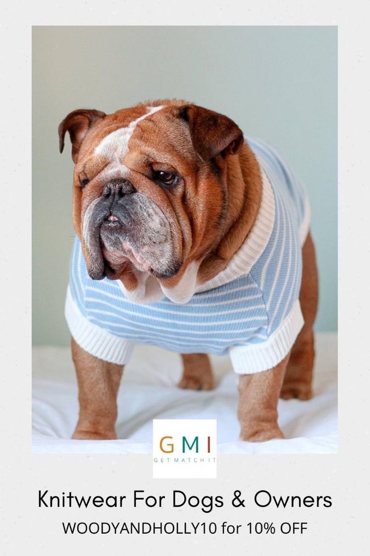 Moda Ethically Made Matching Knitwear For Dogs & Owners 