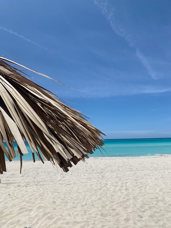 Place Varadero