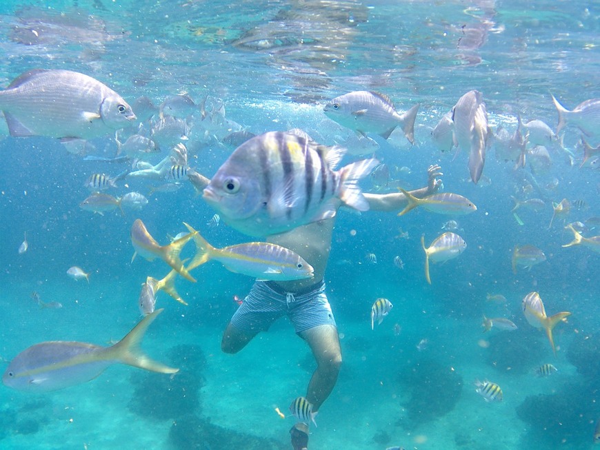 Place Varadiving Scuba Diving Varadero Cuba.