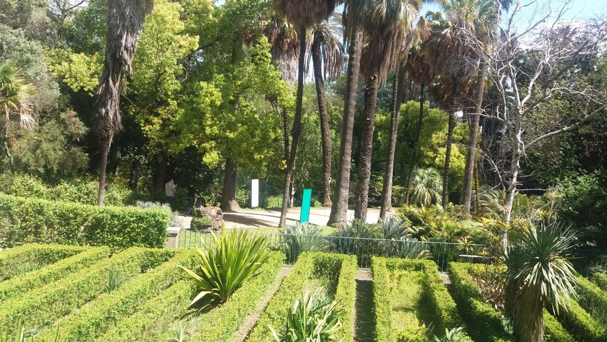 Place Jardín Botánico de la Universidad de Lisboa