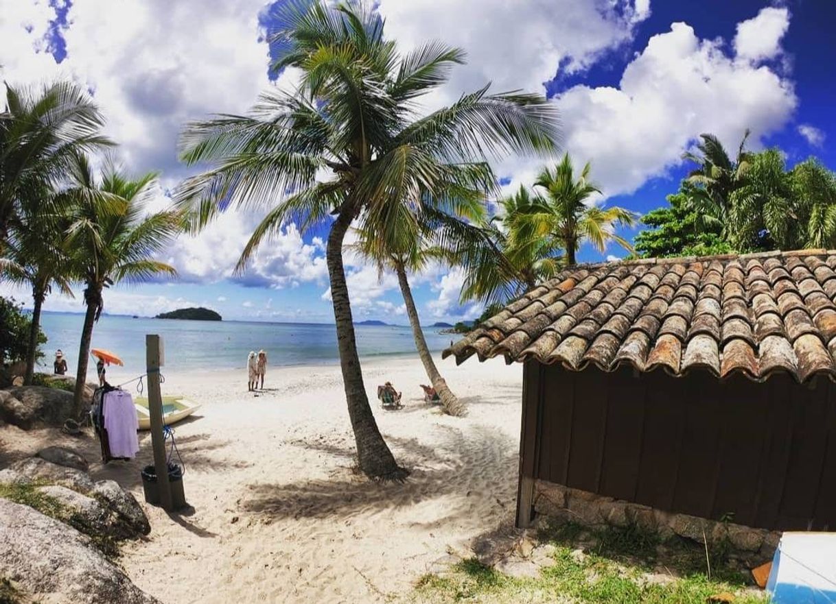 Lugar Praia em Florianópolis - Canasjure 🌊