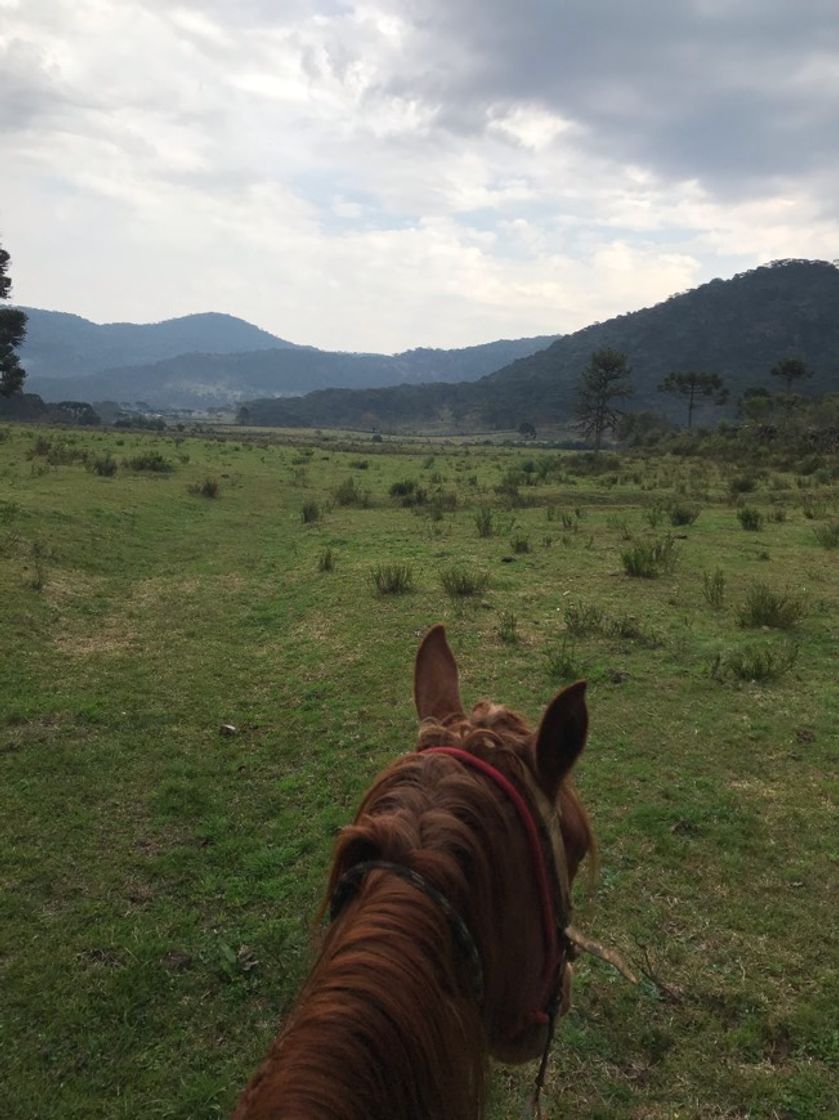 Lugar Urubici