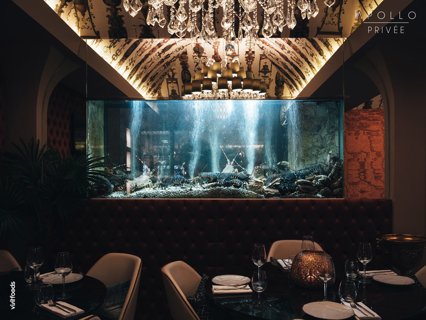 Apollo Privée