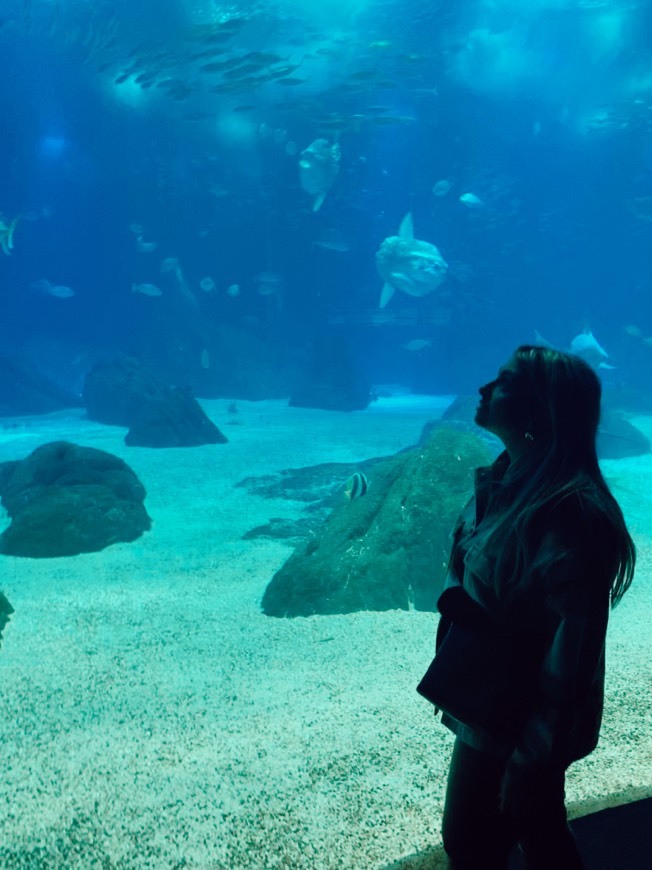 Place Oceanario de Lisboa